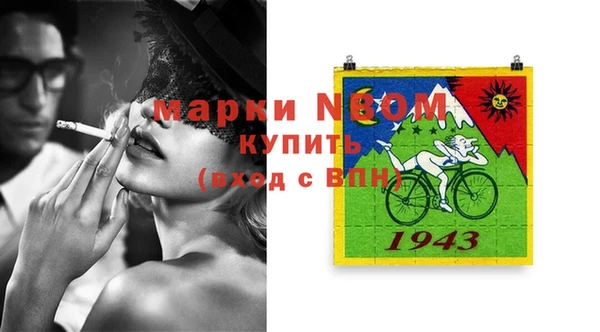 Альфа ПВП Аркадак