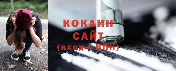 сатива Пересвет