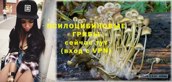 Альфа ПВП Армянск