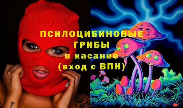 Альфа ПВП Аркадак