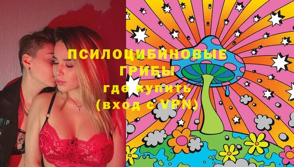 Альфа ПВП Армянск