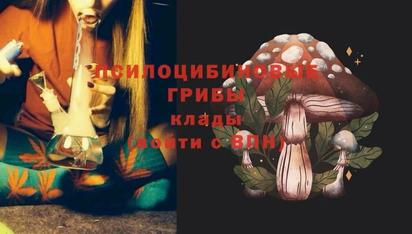 Альфа ПВП Аркадак
